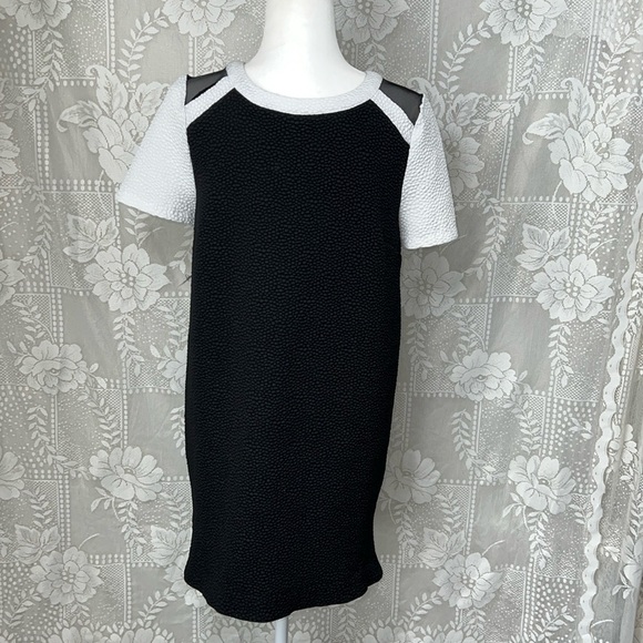Kensie Colorblock Shift Short Sleeve Retro Skater Textured Dot Sheath Dress - Picture 3 of 10